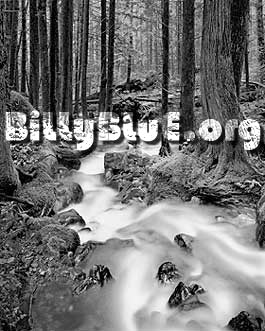billyblue